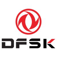 dfsk-logo-90571CBC30-seeklogo.com